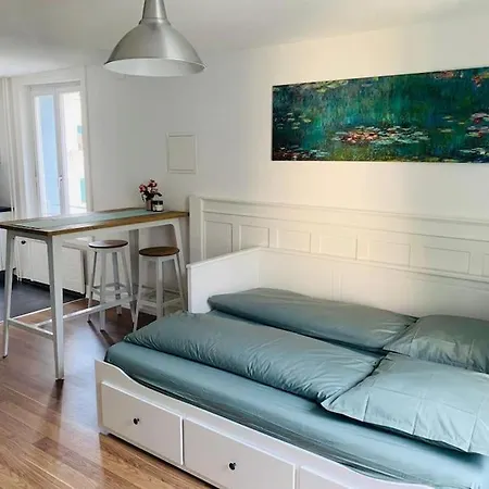 Lejlighed Klein Aber Fein In Rorschach